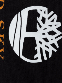 Штаны спортивные Timberland WWES модель TB0A27HY001 Фото