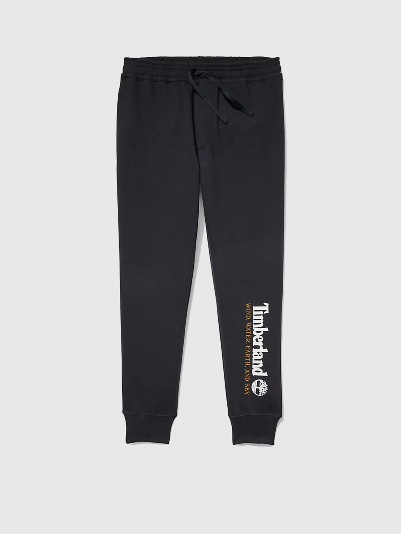 Штаны спортивные Timberland WWES модель TB0A27HY001 Фото