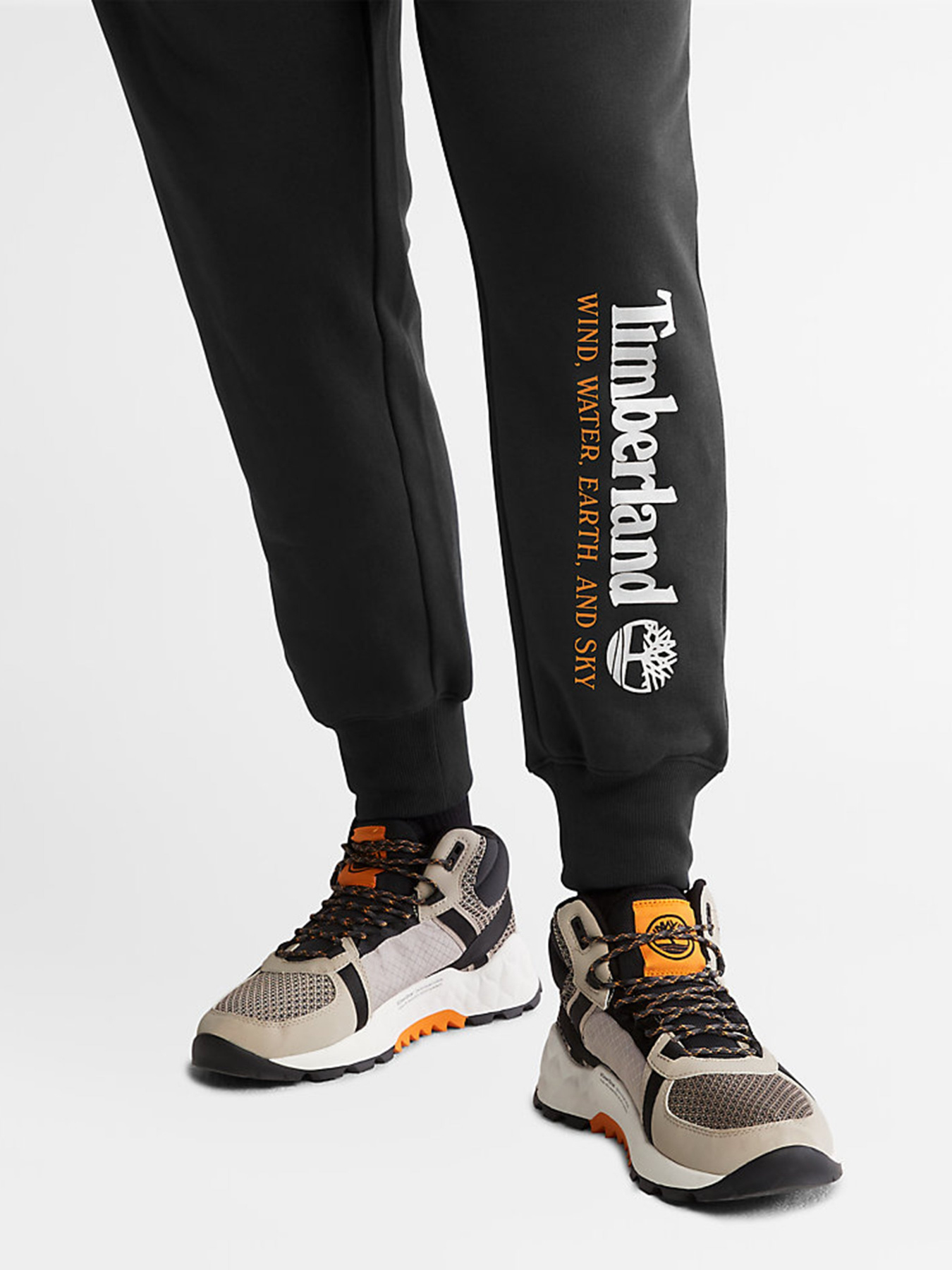 Штаны спортивные Timberland WWES модель TB0A27HY001 Фото