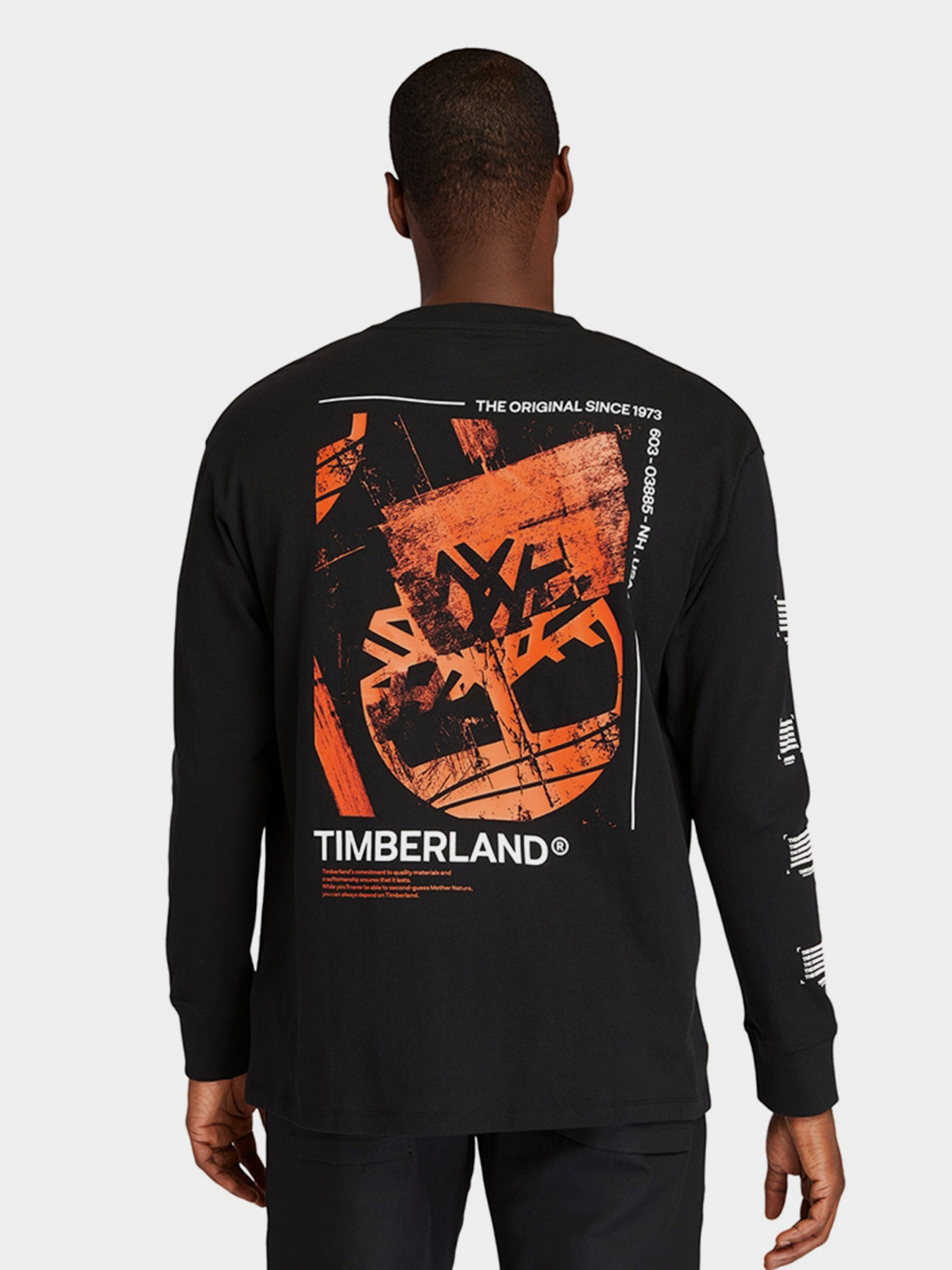 Лонгслів Timberland Graphic модель TB0A22D7001 Фото