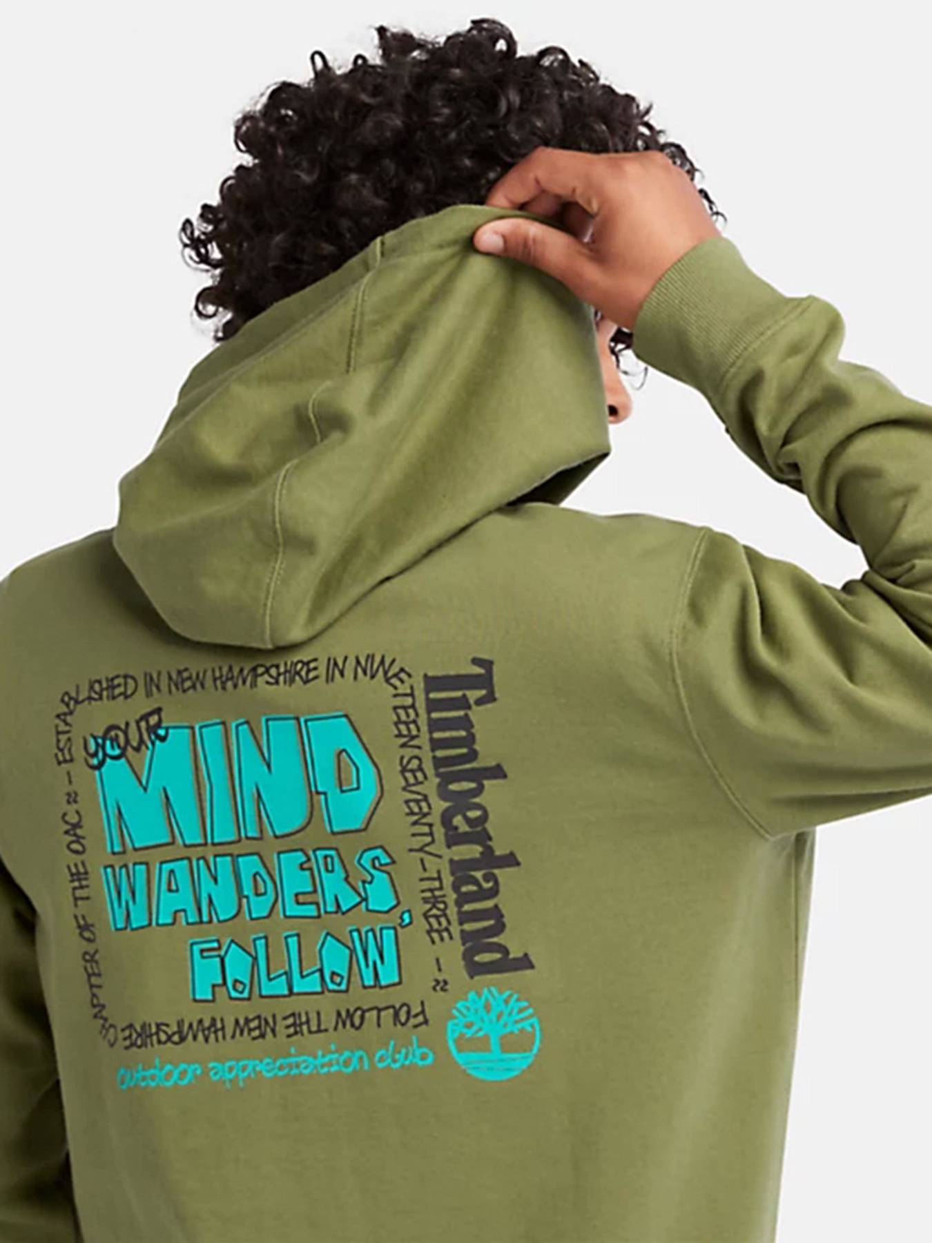 Худі Timberland Outdoor Graphic модель TB0A68KSV46 Фото