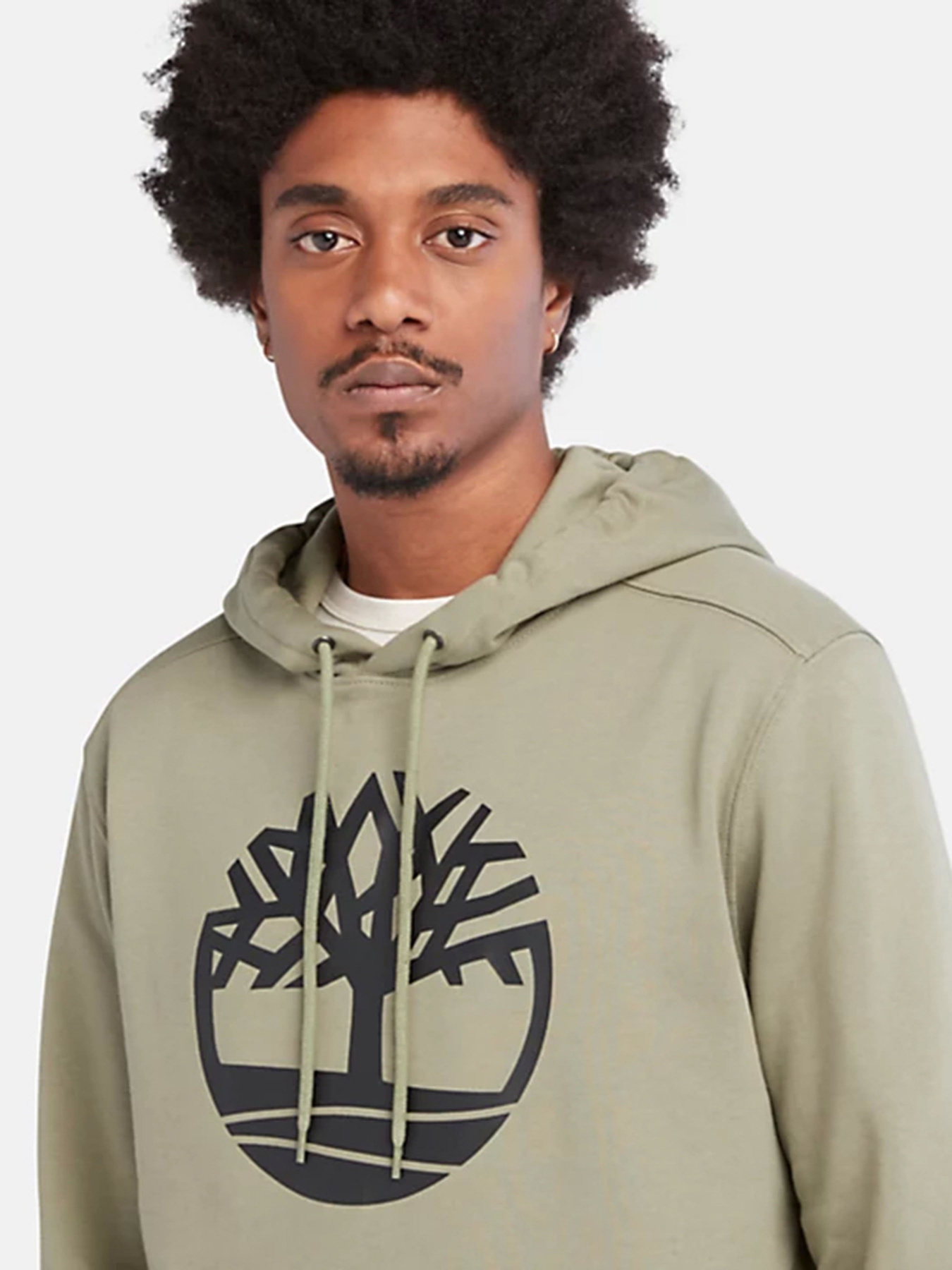 Худи Timberland Core Tree Logo модель TB0A2BJHCN8 Фото