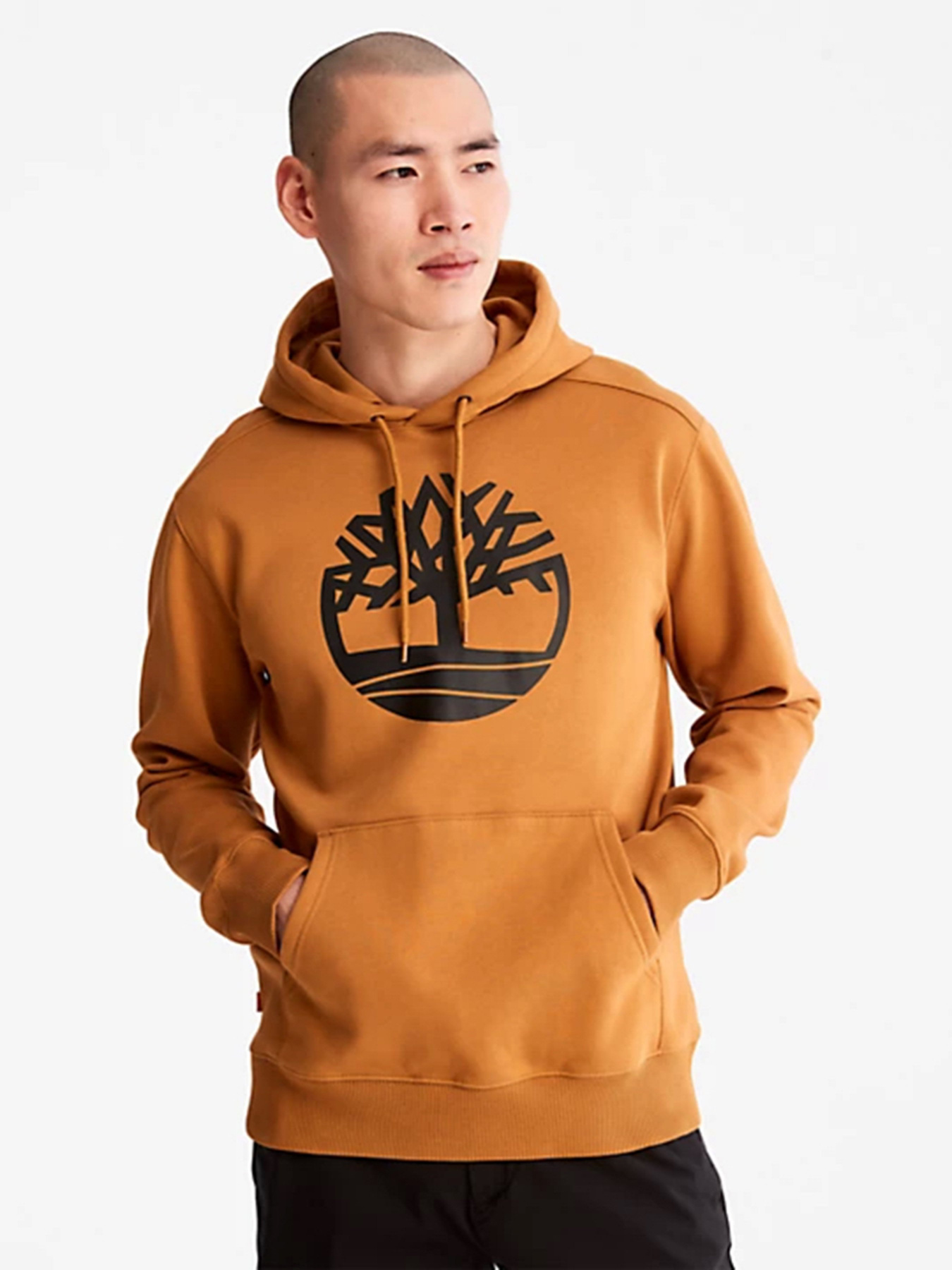 Худи Timberland Core Tree Logo модель TB0A2BJHP57 Фото
