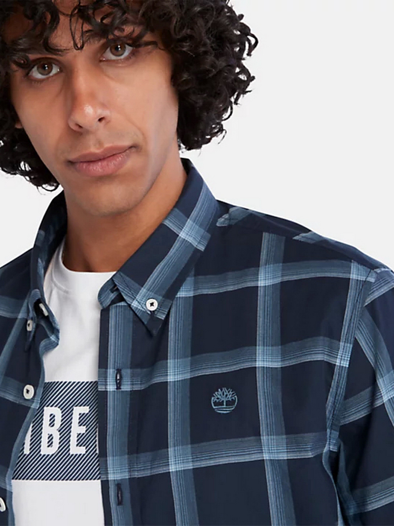 Рубашка Timberland Eastham River Stretch Poplin Check модель TB0A26CFB68 Фото