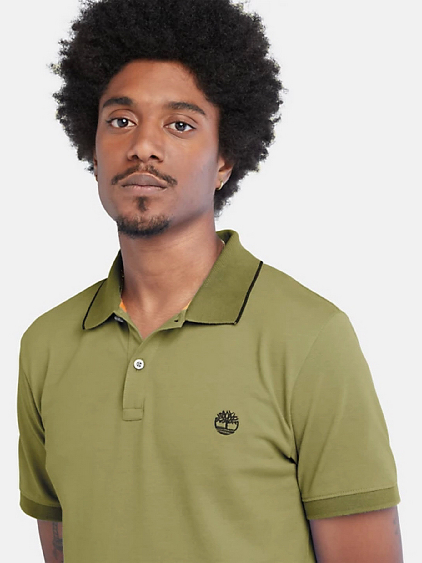 Поло Timberland SS Millers River Collar Neck Print модель TB0A26NFV46 Фото