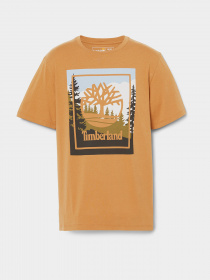 Футболка Timberland SS OUTDOOR INSPIRED GRAPHIC модель TB0A6F4KP47 Фото