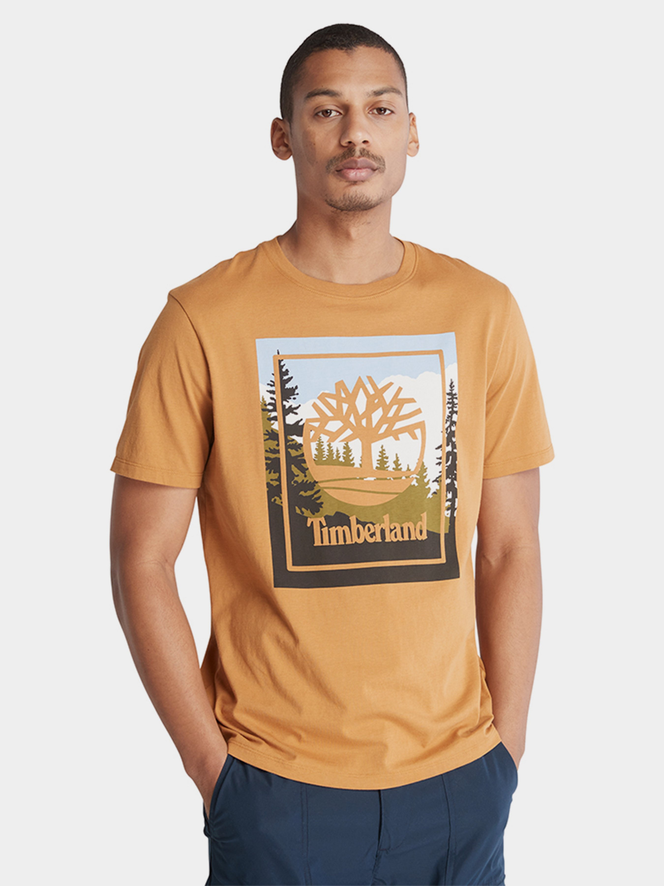 Футболка Timberland SS OUTDOOR INSPIRED GRAPHIC модель TB0A6F4KP47 Фото