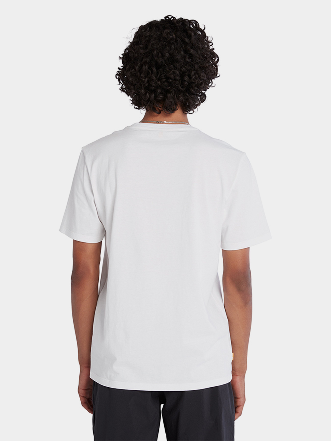 Футболка Timberland SS OUTDOOR INSPIRED GRAPHIC модель TB0A6F4K100 Фото