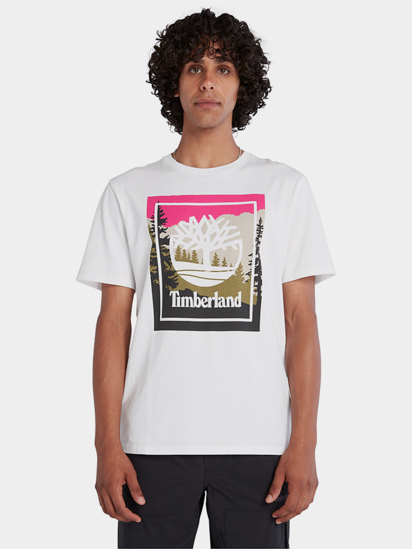 Футболка Timberland SS OUTDOOR INSPIRED GRAPHIC модель TB0A6F4K100 Фото