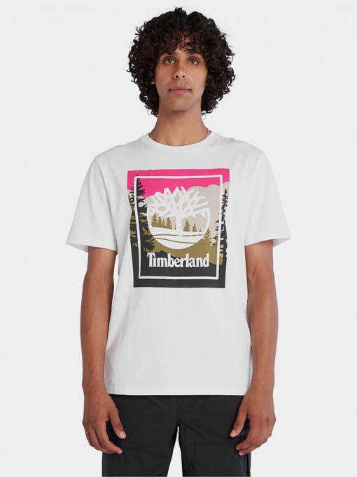 Футболка Timberland SS OUTDOOR INSPIRED GRAPHIC модель TB0A6F4K100 Фото