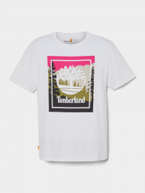 Футболка Timberland SS OUTDOOR INSPIRED GRAPHIC модель TB0A6F4K100 Фото