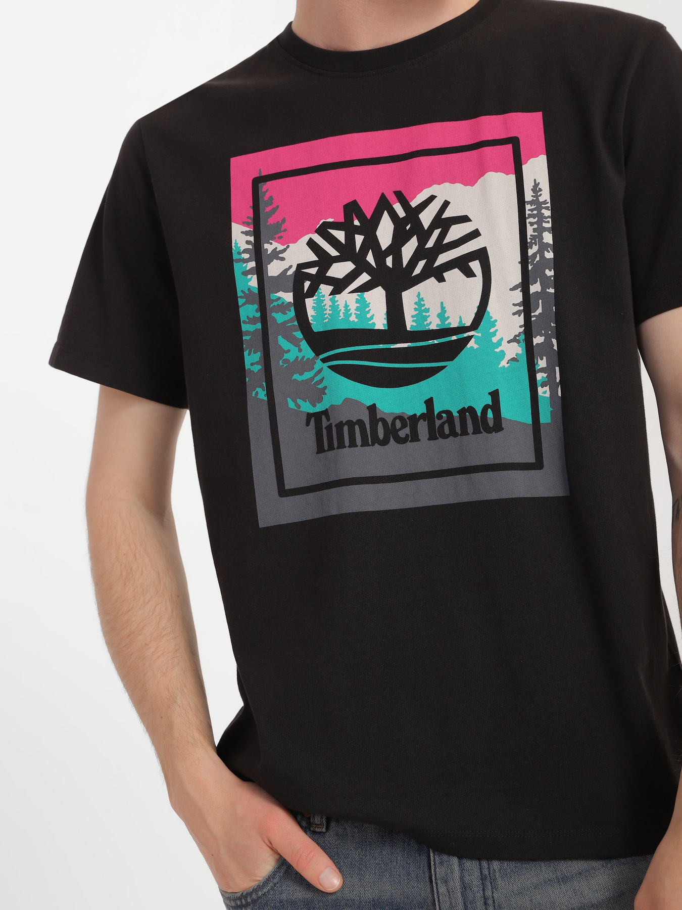 Футболка Timberland SS OUTDOOR INSPIRED GRAPHIC модель TB0A6F4K001 Фото