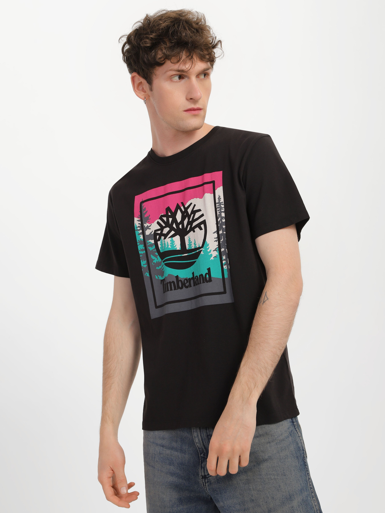 Футболка Timberland SS OUTDOOR INSPIRED GRAPHIC модель TB0A6F4K001 Фото