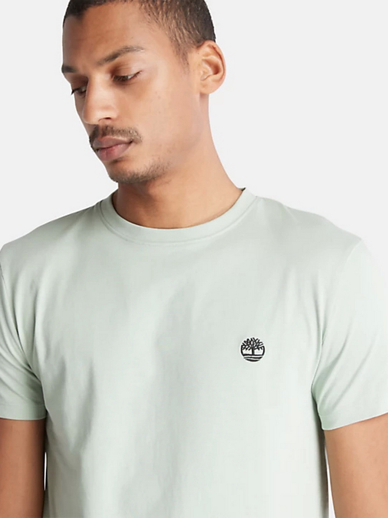 Футболка Timberland SS Dunstan River Jersey модель TB0A2BPRQ43 Фото