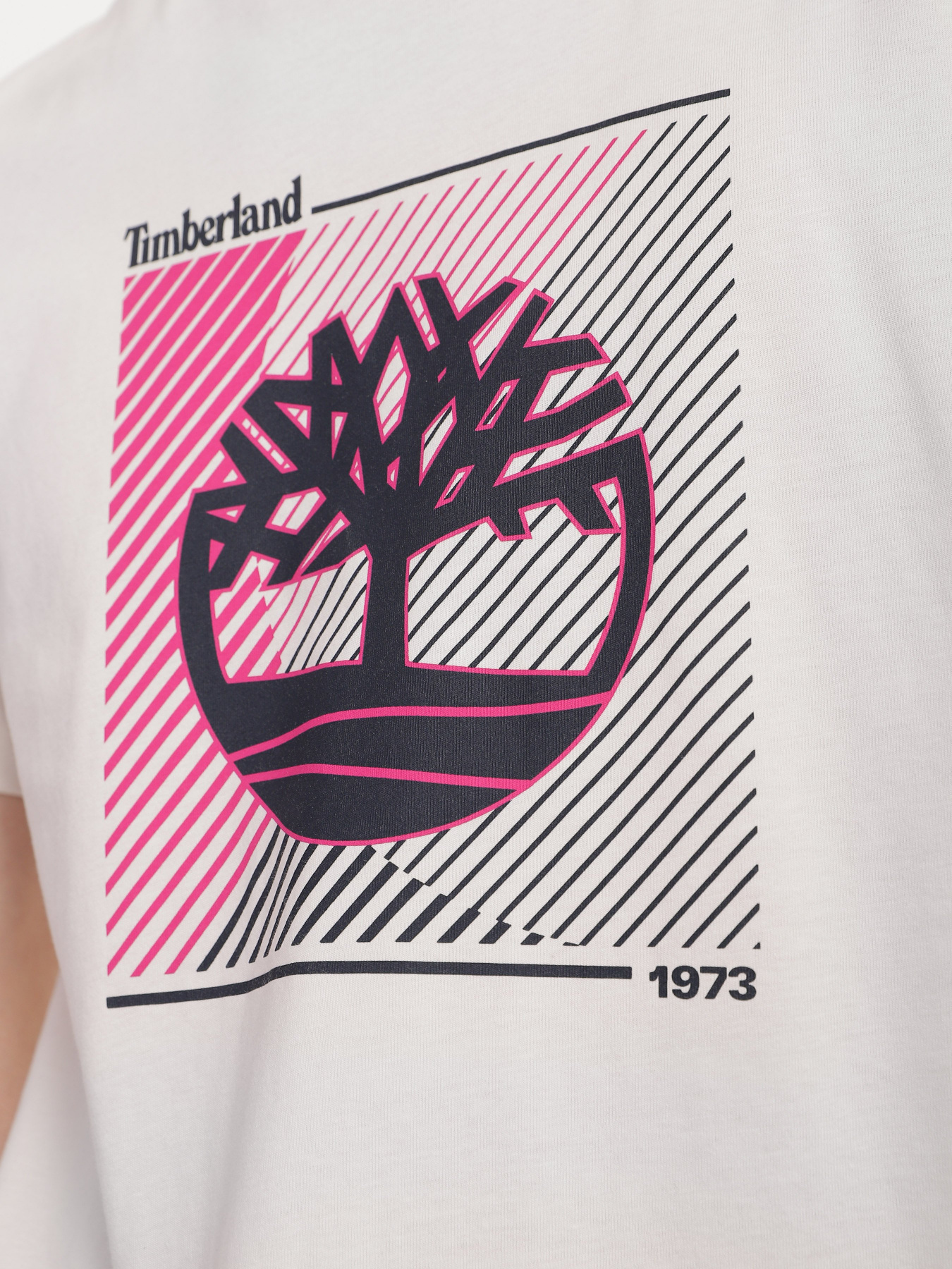 Футболка Timberland модель TB0A663SCM9 Фото