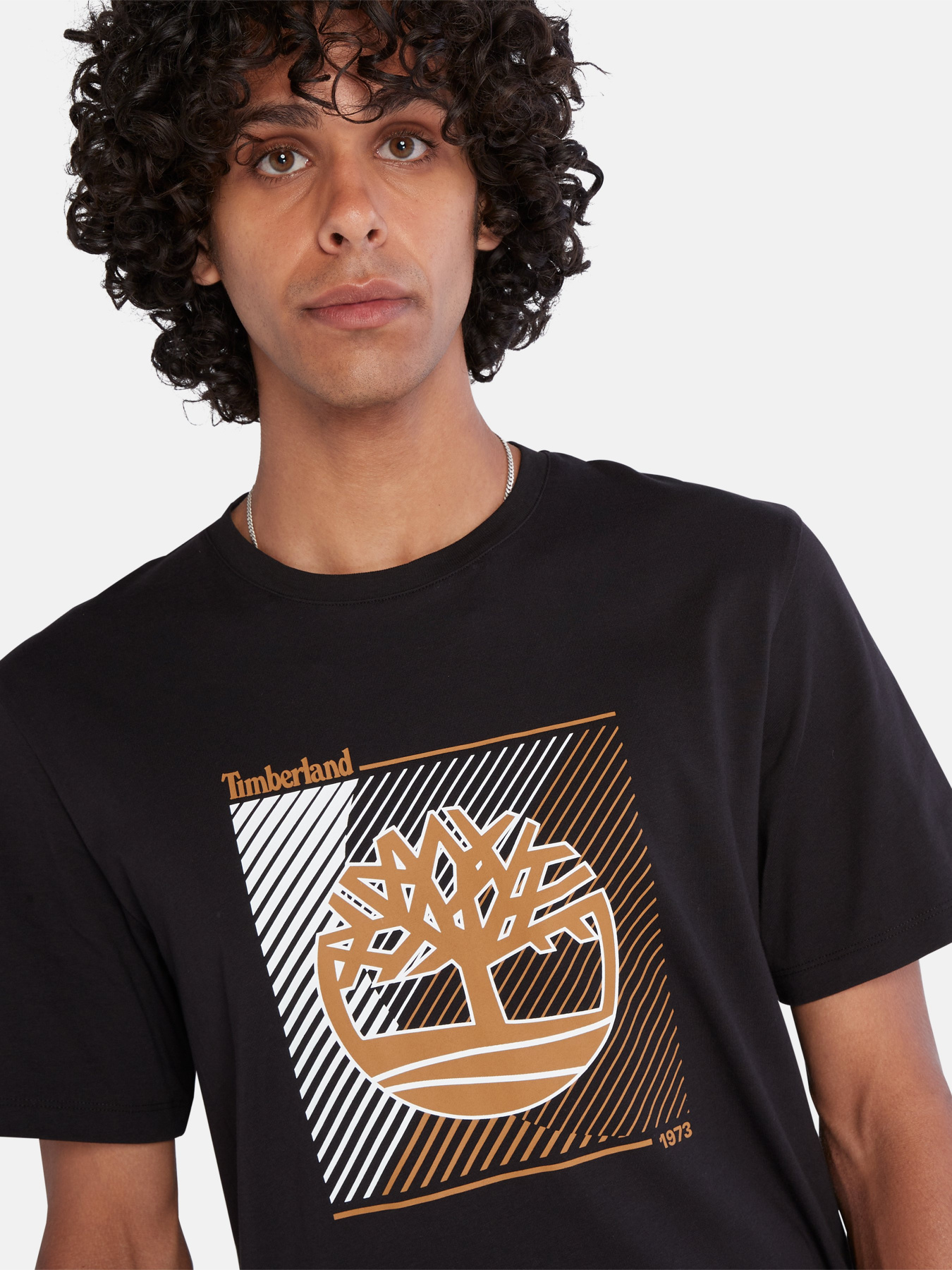 Футболка Timberland Tree Logo Graphic Tee модель TB0A663S001 Фото