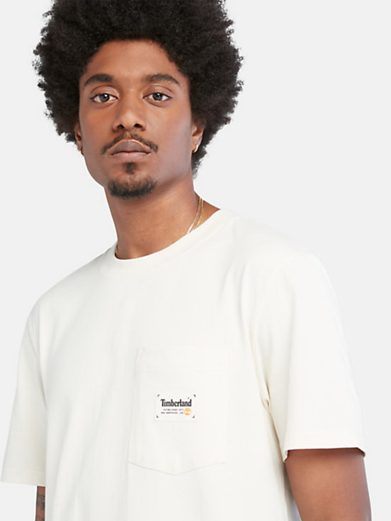 Футболка Timberland Work For The Future модель TB0A66DSCR3 Фото