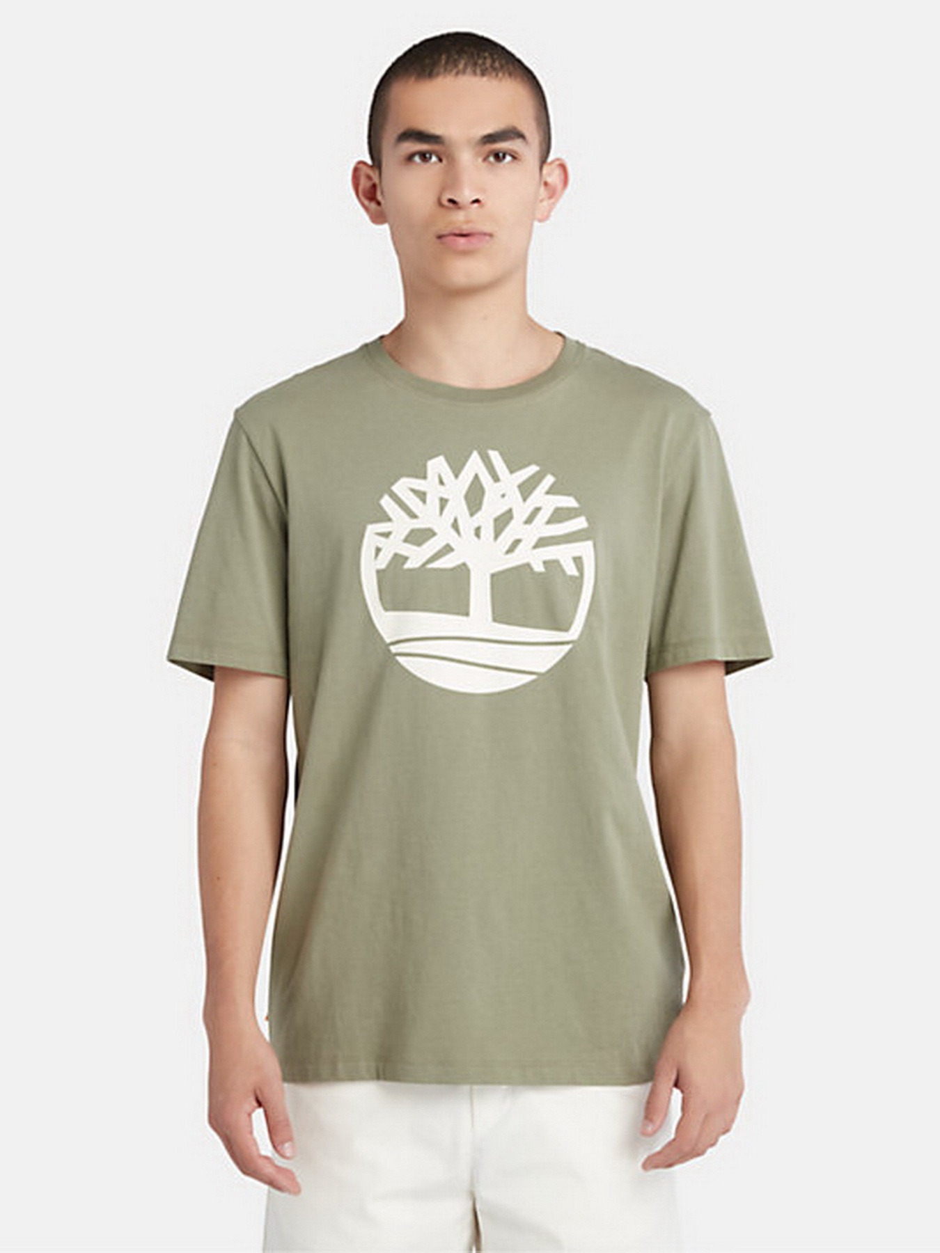 Футболка Timberland Kennebec River Tree Logo модель TB0A2C2R590 Фото
