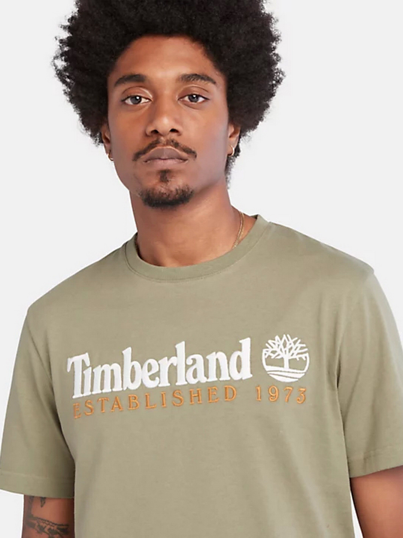 Футболка Timberland Outdoor Est.1973 Linear Logo модель TB0A2CMA590 Фото