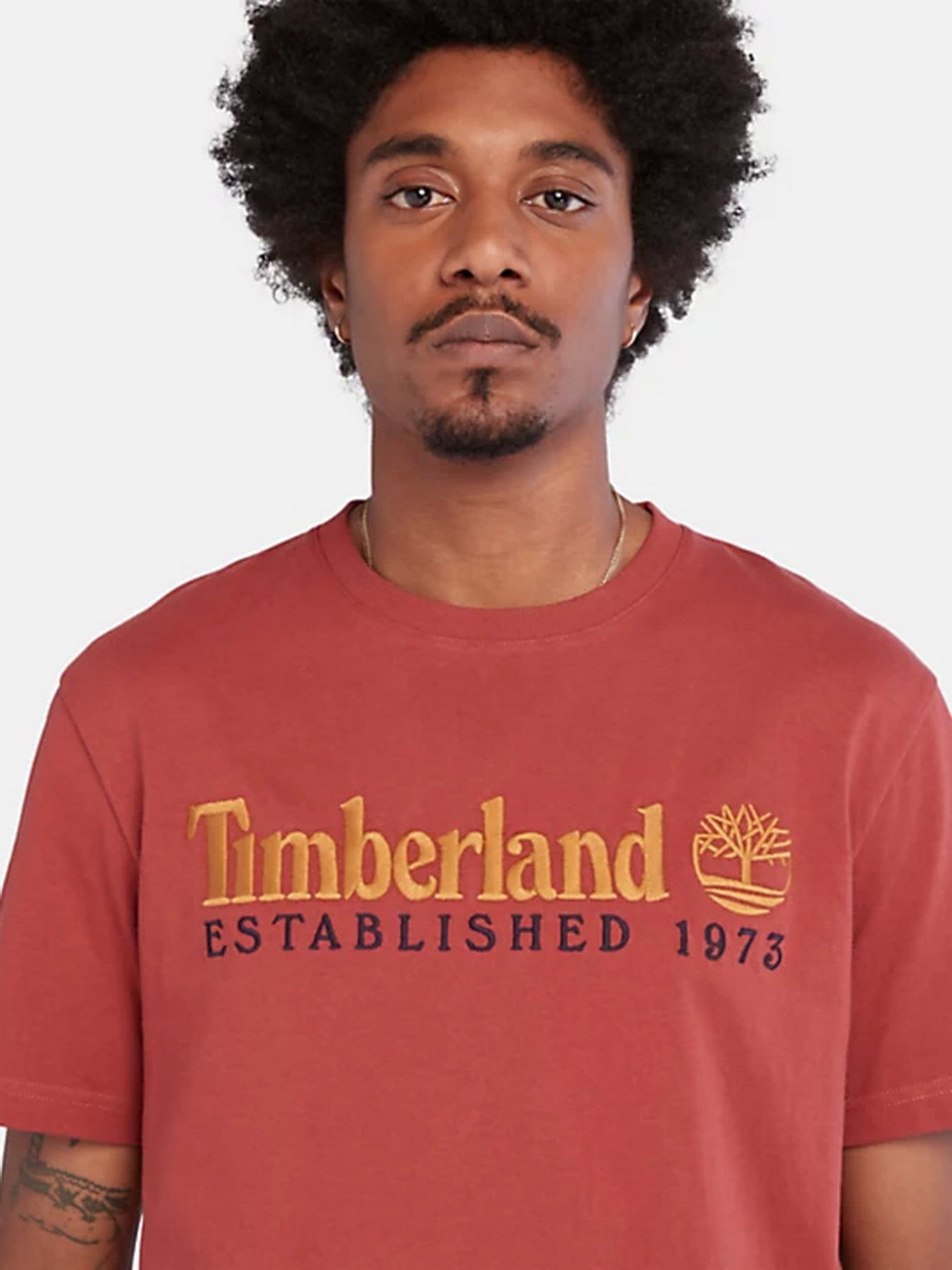 Футболка Timberland Outdoor Est.1973 Linear Logo модель TB0A2CMADH9 Фото