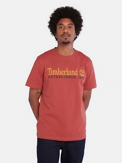 Футболка Timberland Outdoor Est.1973 Linear Logo модель TB0A2CMADH9 Фото