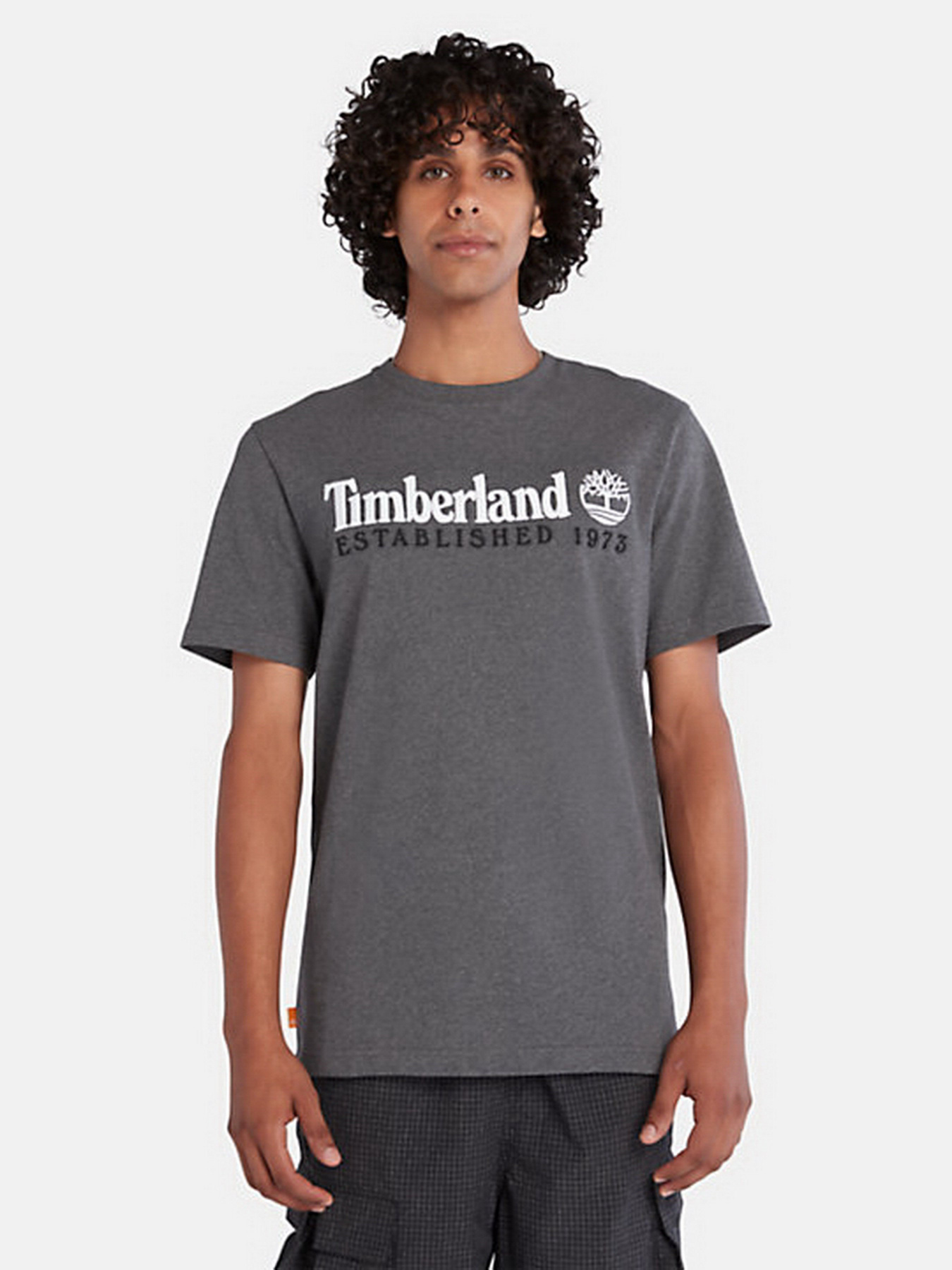 Футболка Timberland Outdoor Est.1973 Linear Logo модель TB0A2CMAU14 Фото