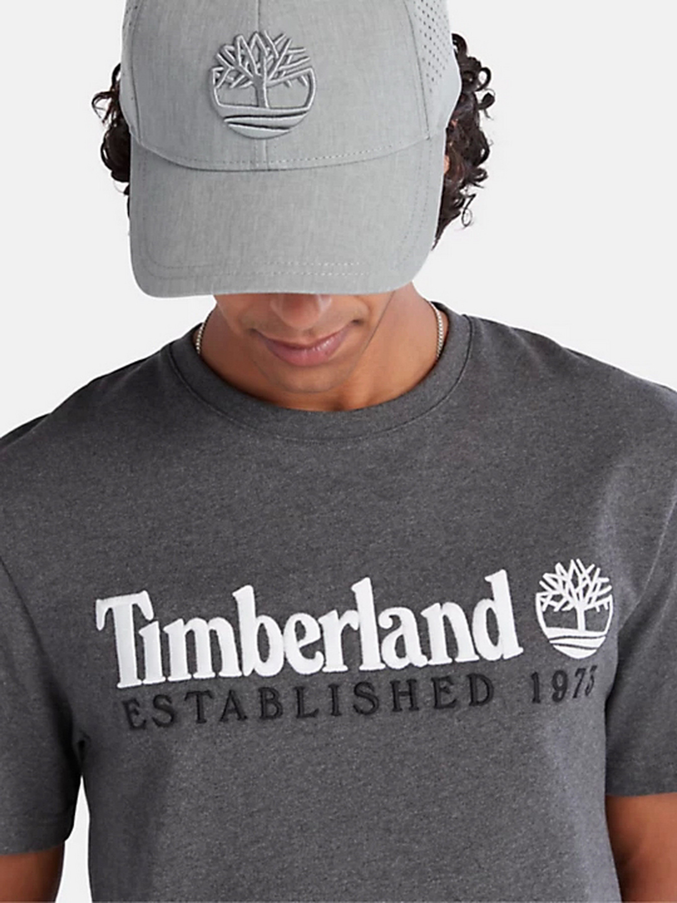 Футболка Timberland Outdoor Est.1973 Linear Logo модель TB0A2CMAU14 Фото
