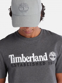 Футболка Timberland Outdoor Est.1973 Linear Logo модель TB0A2CMAU14 Фото