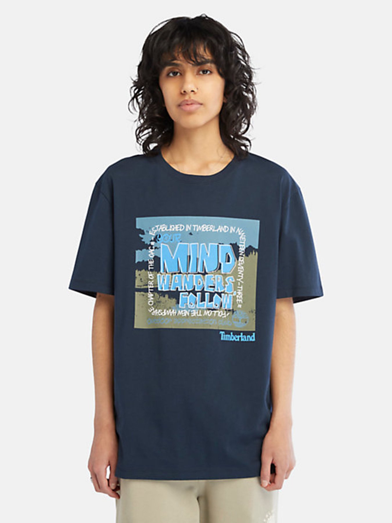 Футболка Timberland модель TB0A68NE433 Фото