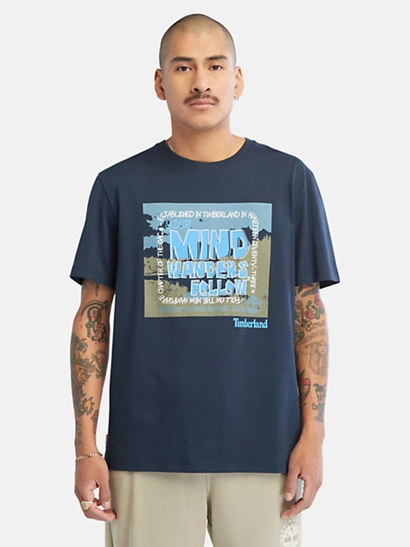 Футболка Timberland модель TB0A68NE433 Фото