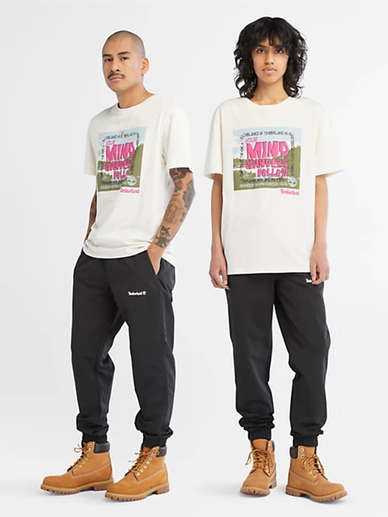 Футболка Timberland All Gender Outdoor Graphic модель TB0A68NECM9 Фото