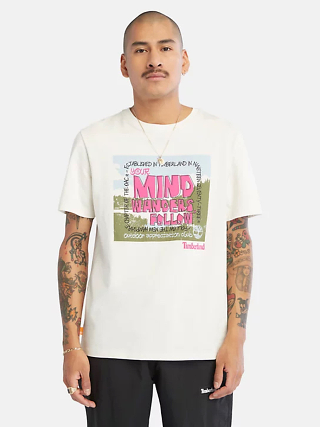 Футболка Timberland All Gender Outdoor Graphic модель TB0A68NECM9 Фото