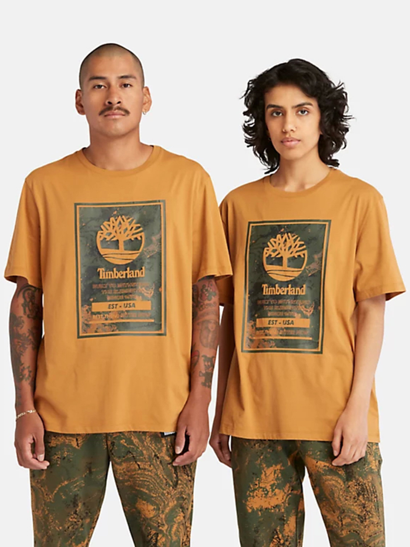 Футболка Timberland Printed Logo модель TB0A66X1P47 Фото