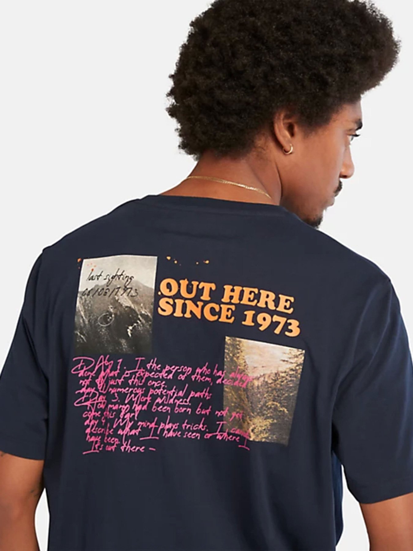 Футболка Timberland Hiking Vintage Graphic модель TB0A671S433 Фото