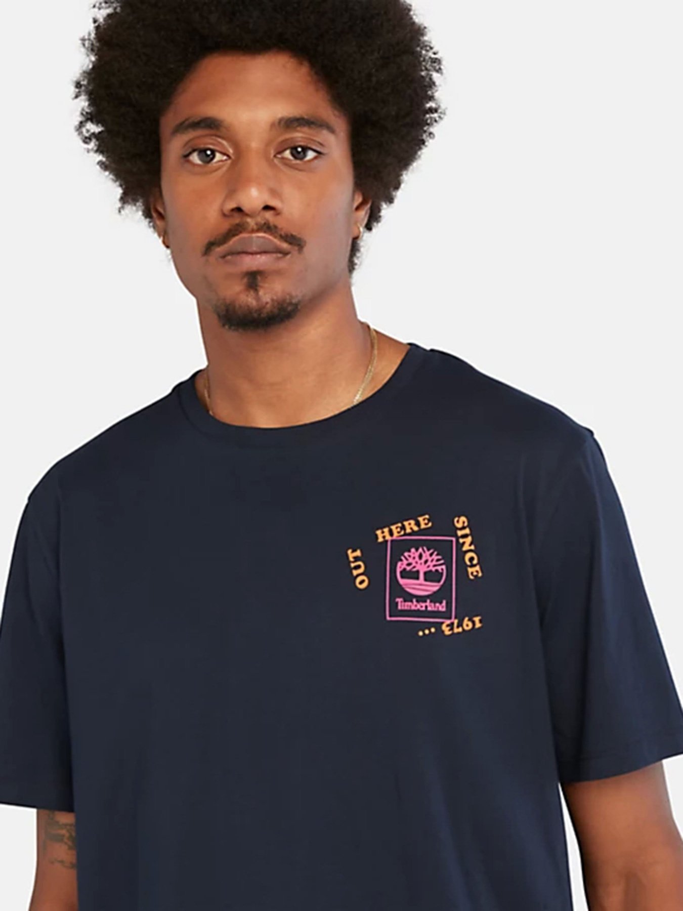 Футболка Timberland Hiking Vintage Graphic модель TB0A671S433 Фото