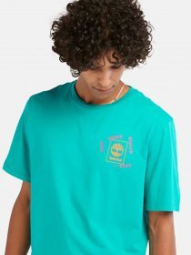 Футболка Timberland Hiking Vintage Graphic модель TB0A671SE34 Фото