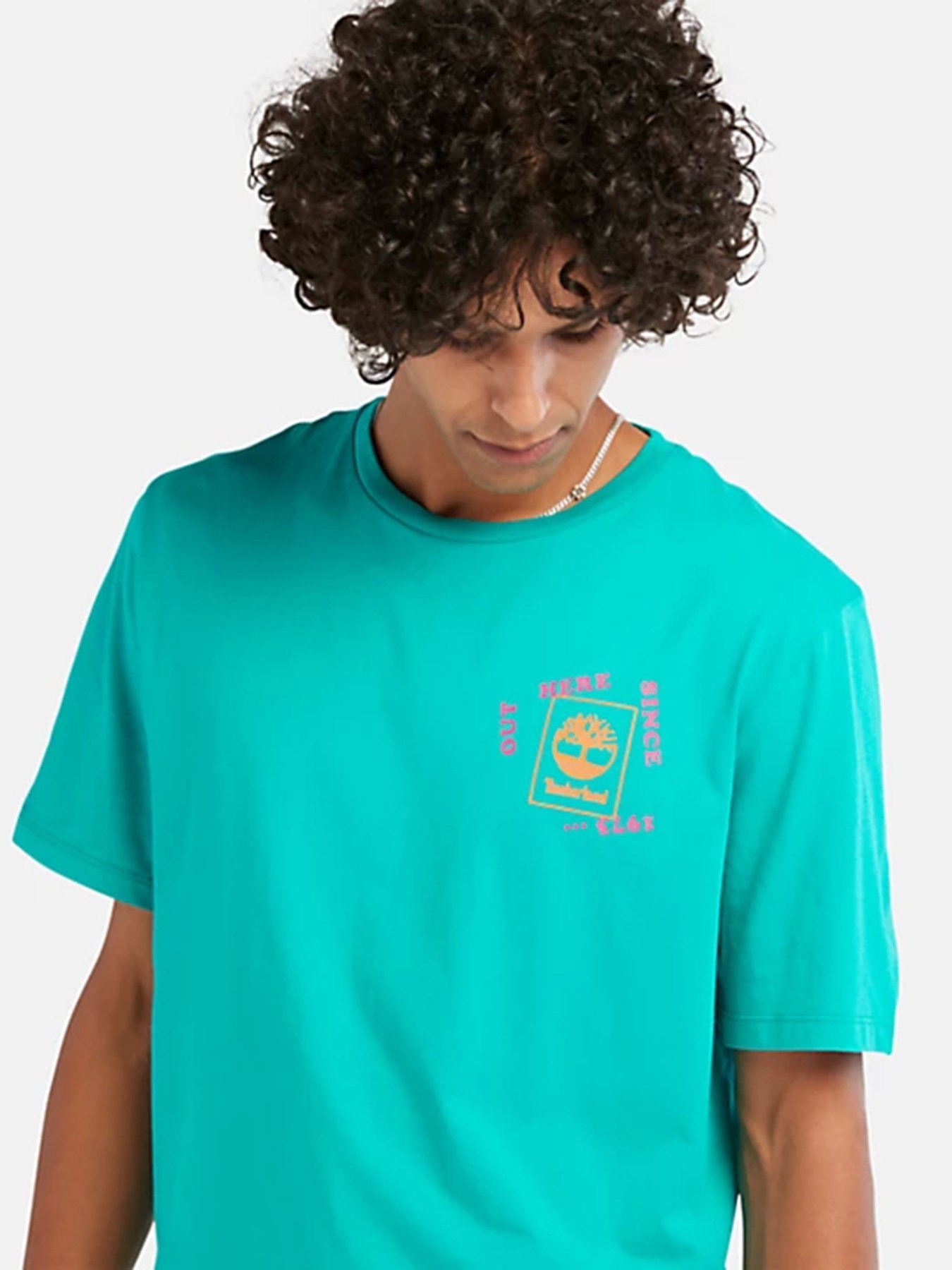 Футболка Timberland Hiking Vintage Graphic модель TB0A671SE34 Фото