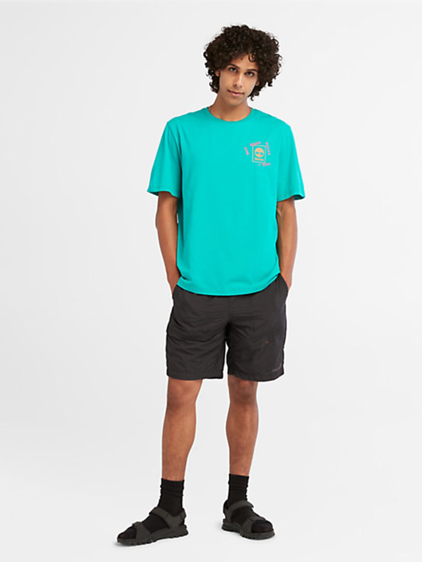 Футболка Timberland Hiking Vintage Graphic модель TB0A671SE34 Фото