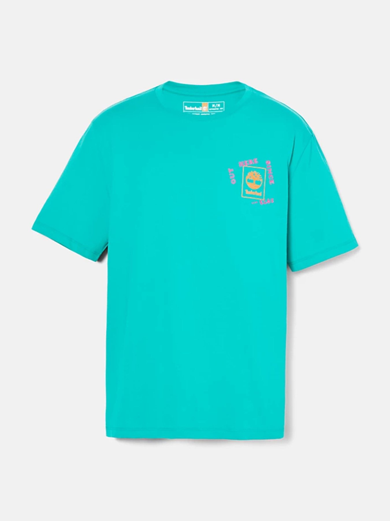 Футболка Timberland Hiking Vintage Graphic модель TB0A671SE34 Фото