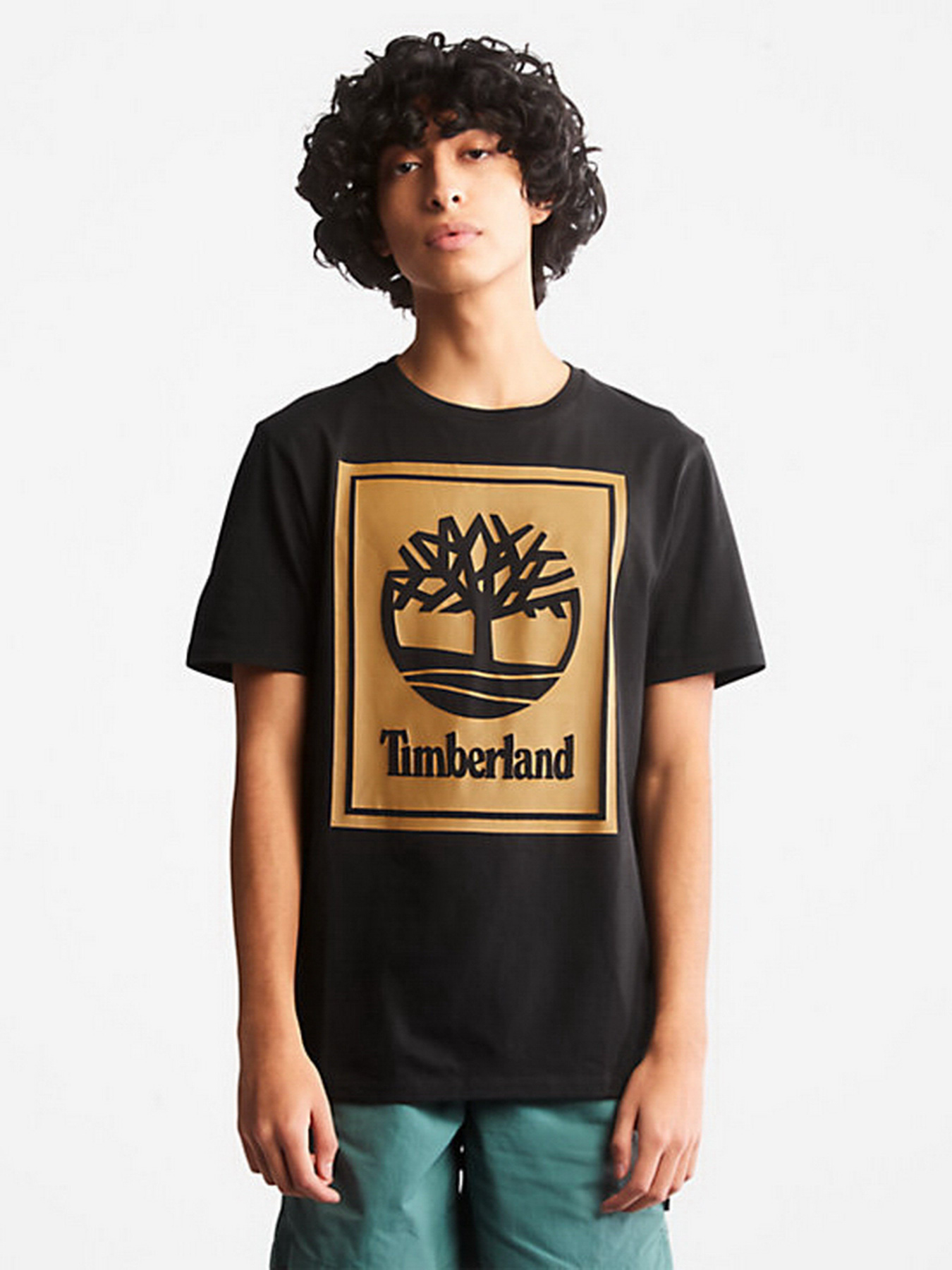 Футболка Timberland Front Stack Logo модель TB0A6CBTP56 Фото