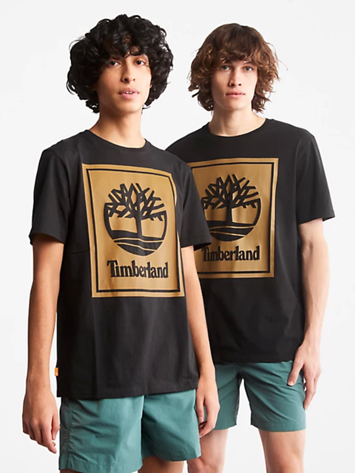 Футболка Timberland Front Stack Logo модель TB0A6CBTP56 Фото
