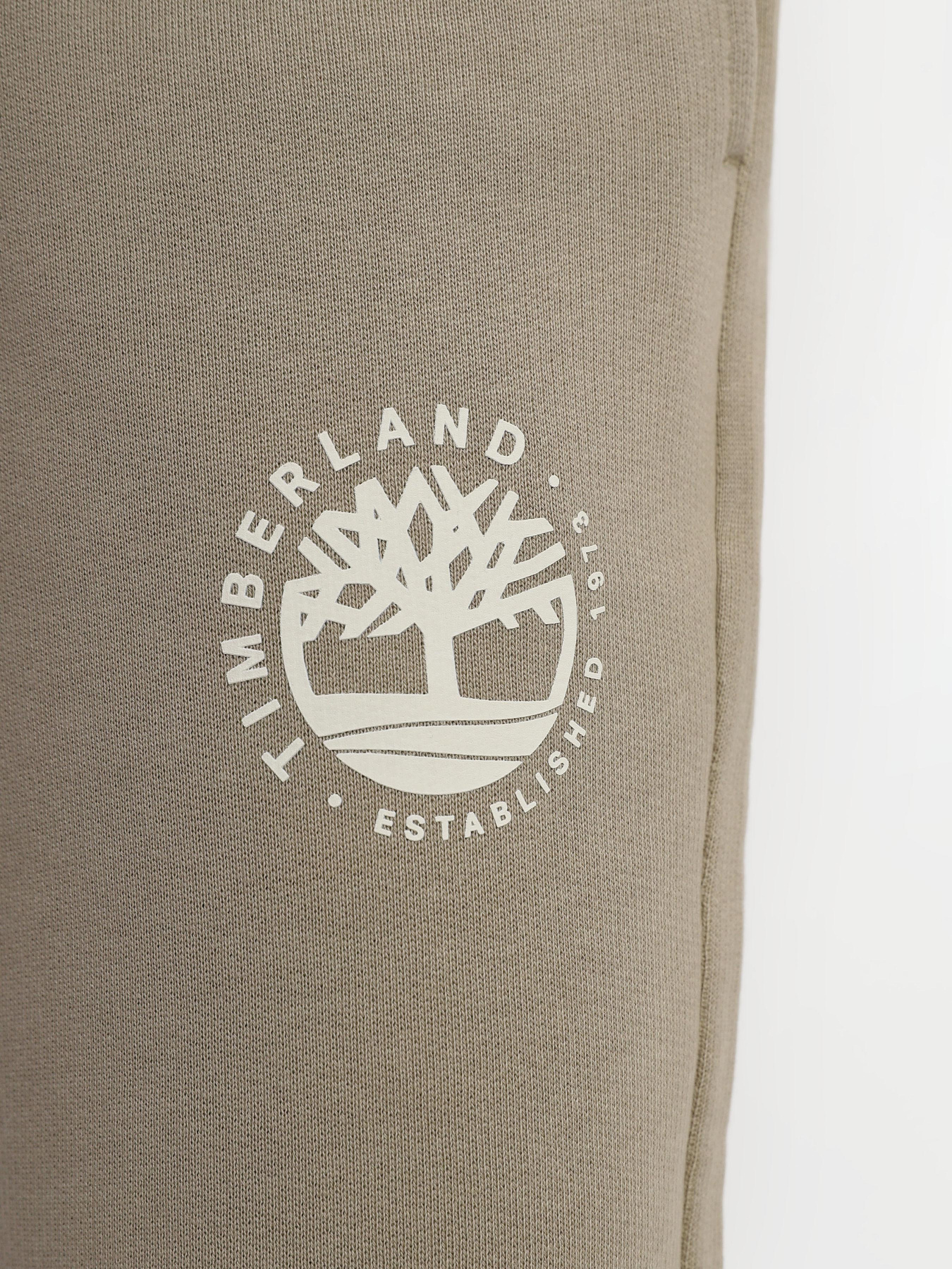 Спортивні штани Timberland Refibra Logo модель TB0A66GWDH5 Фото