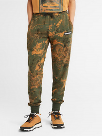 Спортивні штани Timberland Spring Rock модель TB0A66Y9DK3 Фото