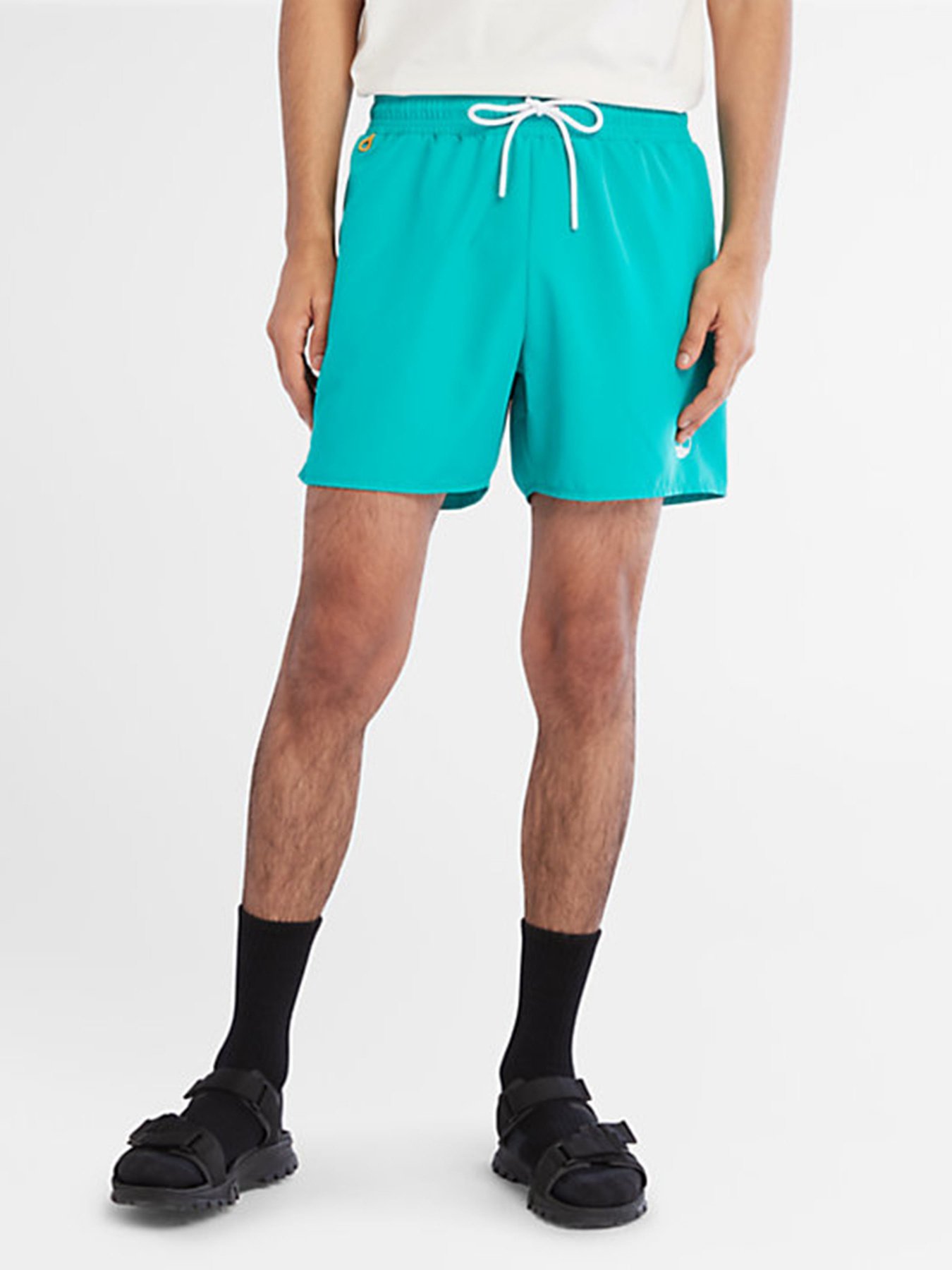 Шорти для плавання Timberland Sunapee Lake Solid Swimshort модель TB0A2DH7E34 Фото