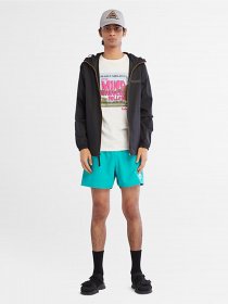Одежда для пляжа Timberland Sunapee Lake Solid Swimshort модель TB0A2DH7E34 Фото
