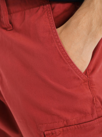 Повсякденні шорти Timberland Outdoor Relaxed Cargo модель TB0A25E4DH9 Фото