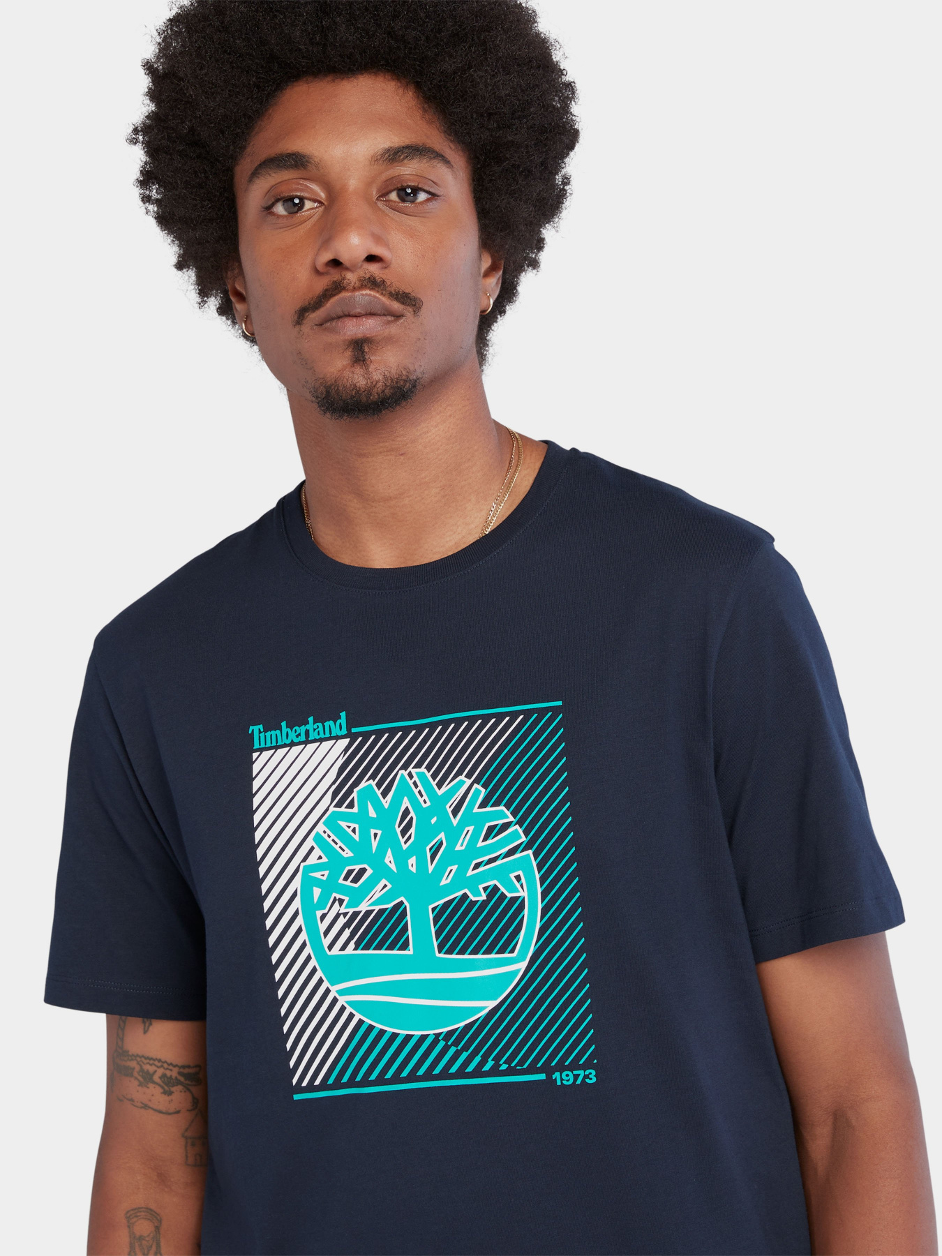 Футболка Timberland Tree Logo Graphic модель TB0A663S433 Фото