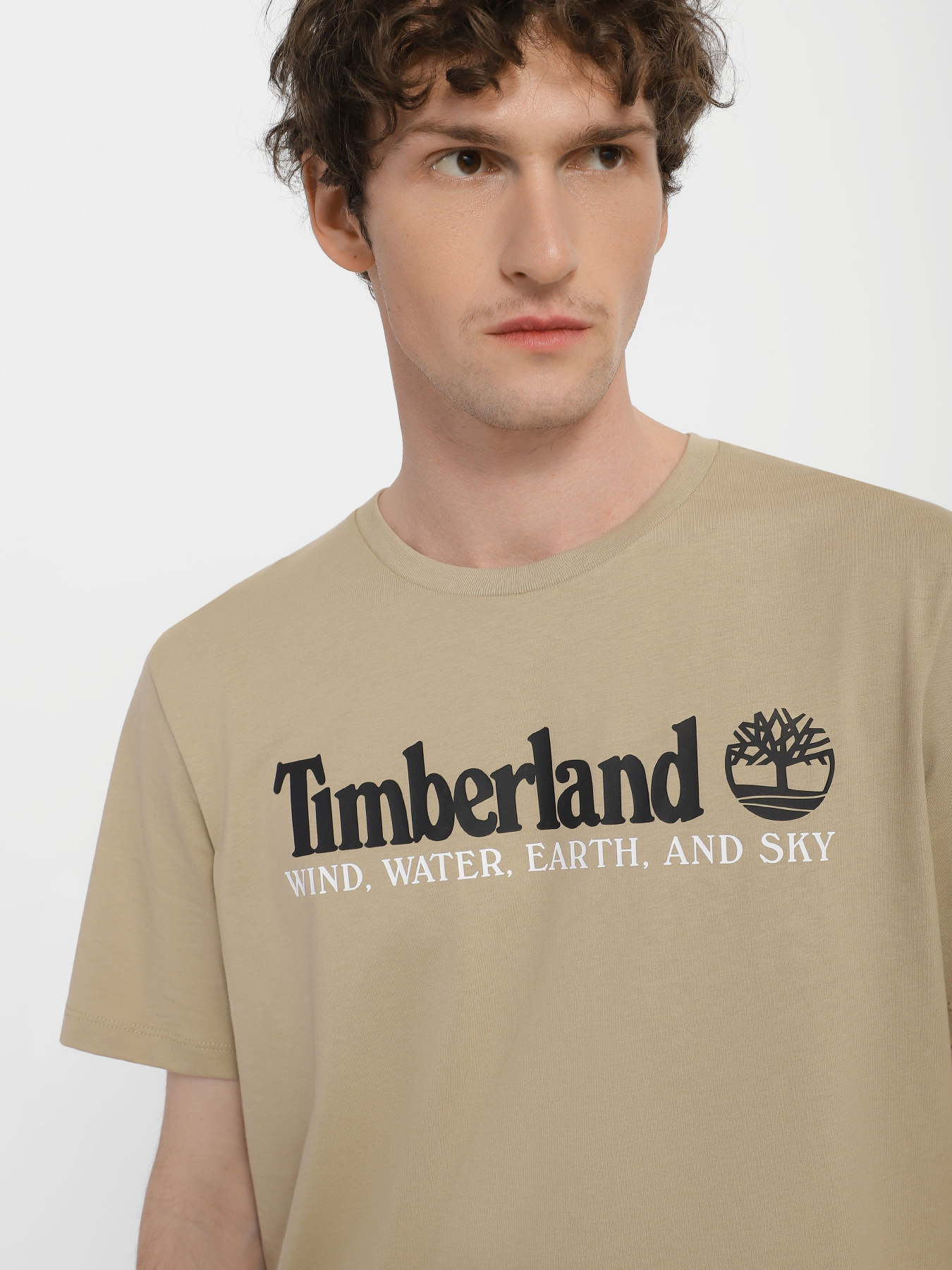 Футболка Timberland Wind, Water, Earth, and Sky модель TB0A27J8DH4 Фото