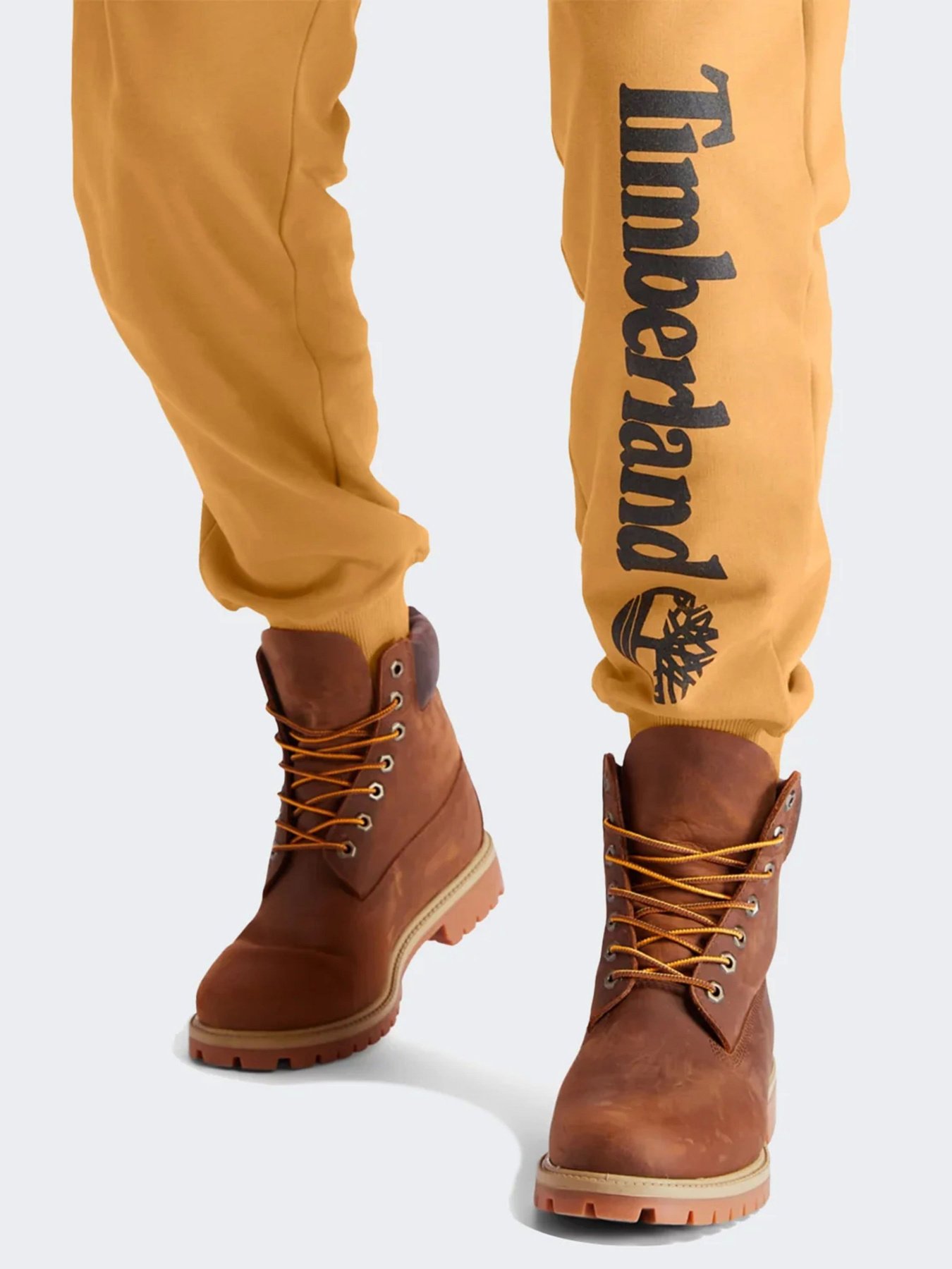 Штаны спортивные Timberland Core Tree Logo модель TB0A2BVFP57 Фото