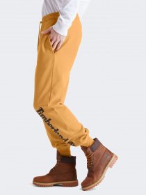 Спортивні штани Timberland Core Tree Logo модель TB0A2BVFP57 Фото
